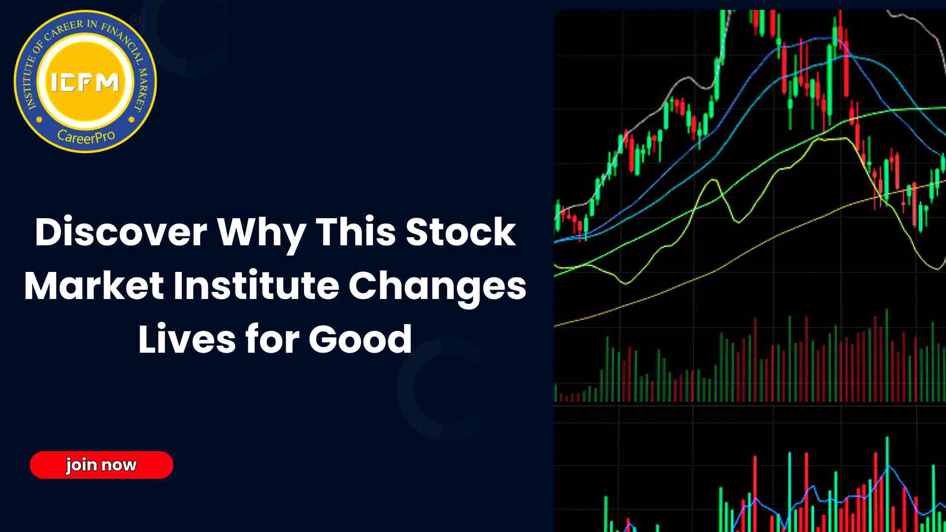 Discover Why This Stock Market Institute Changes Lives for Good